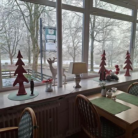 Haus Am Karpfenteich Hotel Гослар Екстериор снимка